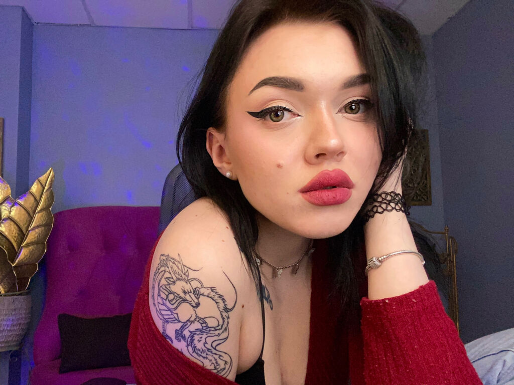 NoeFoilys Webcam Vidéo