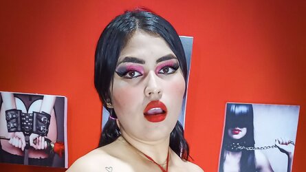 SkyHolmes Webcam Vidéo
